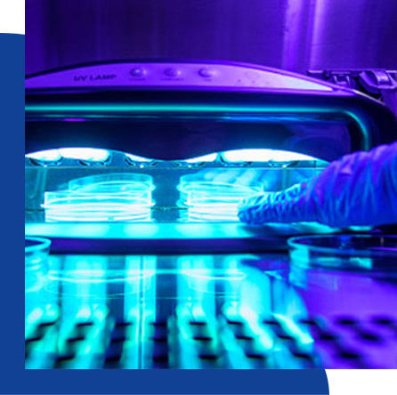 Harnessing Technology for Efficient Oncology Billing in San Diego CA